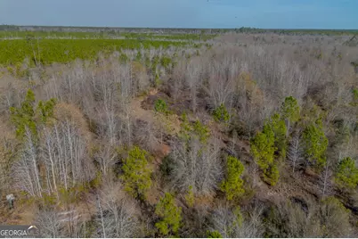 0 Banner Rd, Waycross, GA 31503 - Photo 13