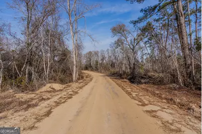 0 Banner Road, Waycross, GA 31503 - Photo 33