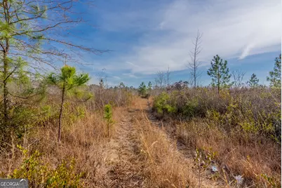 0 Banner Road, Waycross, GA 31503 - Photo 35