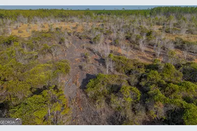 0 Banner Rd, Waycross, GA 31503 - Photo 29