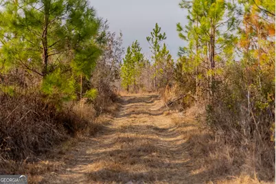 0 Banner Road, Waycross, GA 31503 - Photo 43