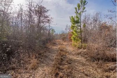 0 Banner Rd, Waycross, GA 31503 - Photo 37