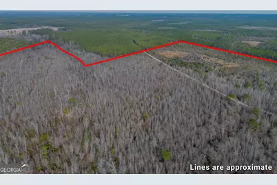 0 Banner Road, Waycross, GA 31503 - Photo 7