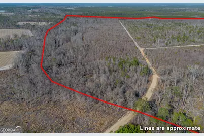 0 Banner Rd, Waycross, GA 31503 - Photo 3