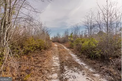 0 Banner Rd, Waycross, GA 31503 - Photo 43