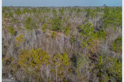 0 Banner Road, Waycross, GA 31503 - Photo 15