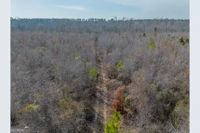 0 Banner Rd, Waycross, GA 31503 - Photo 19