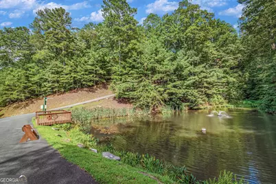 Lot 104 Mountain Creek Hollow Drive, Talking Rock, GA 30175 - Photo 43