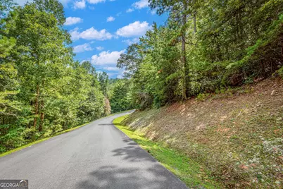 Lot 104 Mountain Creek Hollow Drive, Talking Rock, GA 30175 - Photo 13