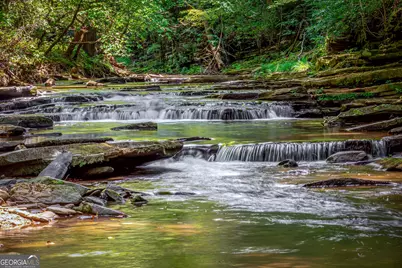 Lot 104 Mountain Creek Hollow Drive, Talking Rock, GA 30175 - Photo 31