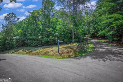 Lot 104 Mountain Creek Hollow Drive, Talking Rock, GA 30175 - Photo 9