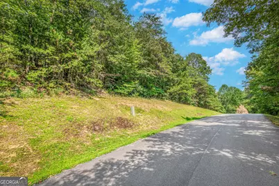 Lot 104 Mountain Creek Hollow Drive, Talking Rock, GA 30175 - Photo 11