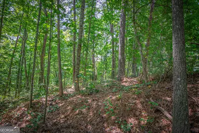 Lot 104 Mountain Creek Hollow Drive, Talking Rock, GA 30175 - Photo 15