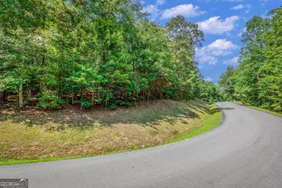 Lot 104 Mountain Creek Hollow Drive, Talking Rock, GA 30175 - Photo 5
