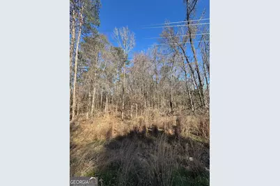 0 County Line Rd, Upatoi, GA 31829 - Photo 1