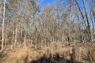 0 County Line Rd, Upatoi, GA 31829 - Photo 1