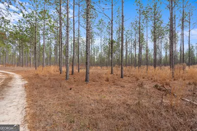 1000 Old River Road S, Brooklet, GA 30415 - Photo 47