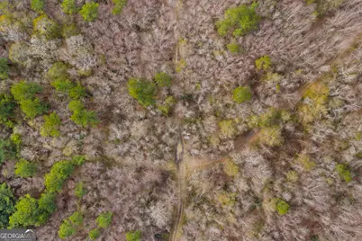 1000 Old River Road S, Brooklet, GA 30415 - Photo 17