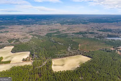 1000 Old River Road S, Brooklet, GA 30415 - Photo 41