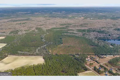 1000 Old River Road S, Brooklet, GA 30415 - Photo 39