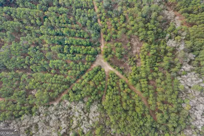 1000 Old River Road S, Brooklet, GA 30415 - Photo 23