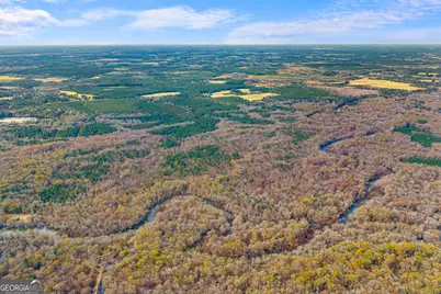 1000 Old River Road S, Brooklet, GA 30415 - Photo 9