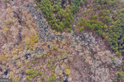 1000 Old River Road S, Brooklet, GA 30415 - Photo 3