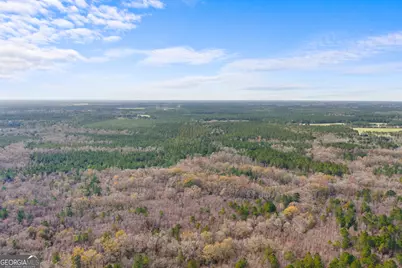 1000 Old River Road S, Brooklet, GA 30415 - Photo 29