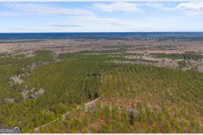 1000 Old River Road S, Brooklet, GA 30415 - Photo 43