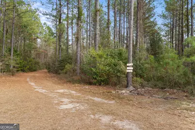 1000 Old River Road S, Brooklet, GA 30415 - Photo 51