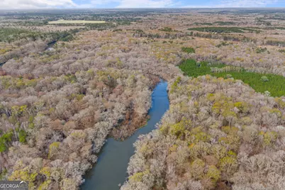 1000 Old River Road S, Brooklet, GA 30415 - Photo 5