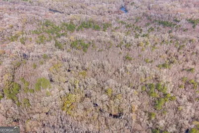 1000 Old River Road S, Brooklet, GA 30415 - Photo 27