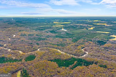 1000 Old River Road S, Brooklet, GA 30415 - Photo 7