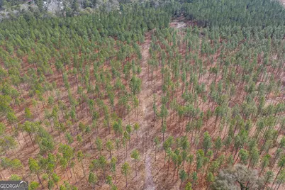 1000 Old River Road S, Brooklet, GA 30415 - Photo 37