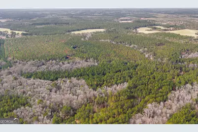 1000 Old River Road S, Brooklet, GA 30415 - Photo 31