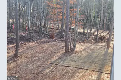 2994 Cannon Bridge Road, Demorest, GA 30535 - Photo 35