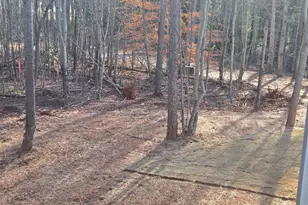 2994 Cannon Bridge Rd, Demorest, GA 30535 - Photo 35