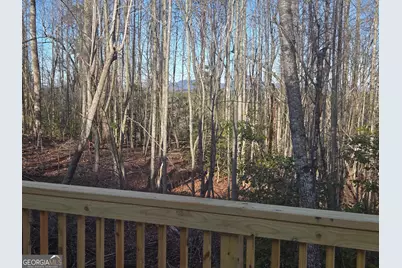 2994 Cannon Bridge Road, Demorest, GA 30535 - Photo 33