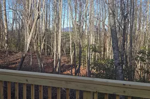 2994 Cannon Bridge Rd, Demorest, GA 30535 - Photo 33