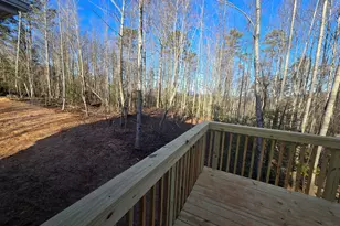 2994 Cannon Bridge Rd, Demorest, GA 30535 - Photo 33