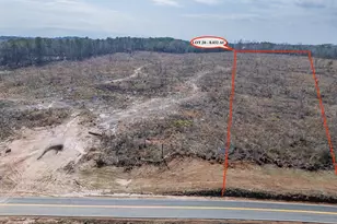 Lot 20 Haley Rd, Jackson, GA 30233 - Photo 1