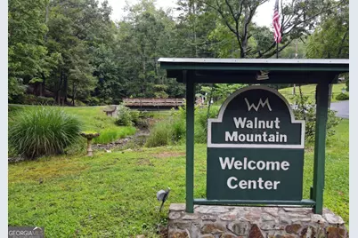 3360 Turniptown Road, Ellijay, GA 30536 - Photo 55