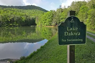 3360 Turniptown Rd, Ellijay, GA 30536 - Photo 69