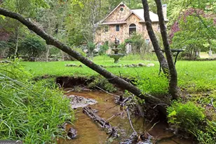 3360 Turniptown Rd, Ellijay, GA 30536 - Photo 15