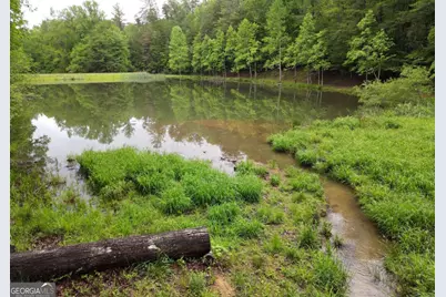 3360 Turniptown Road, Ellijay, GA 30536 - Photo 81