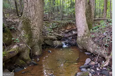 3360 Turniptown Road, Ellijay, GA 30536 - Photo 17