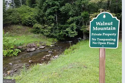 3360 Turniptown Road, Ellijay, GA 30536 - Photo 57