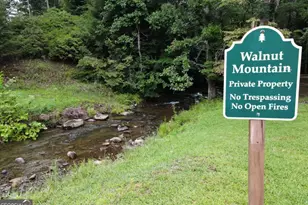 3360 Turniptown Rd, Ellijay, GA 30536 - Photo 57