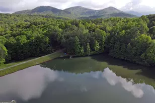 3360 Turniptown Rd, Ellijay, GA 30536 - Photo 75