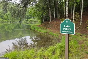 3360 Turniptown Rd, Ellijay, GA 30536 - Photo 73